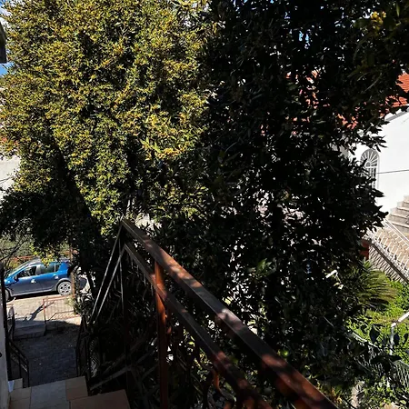 Leila * 特罗吉尔